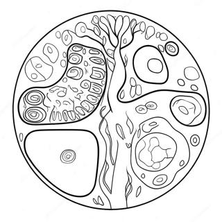 Planten Cel Diagram Kleurplaat 10817-8866