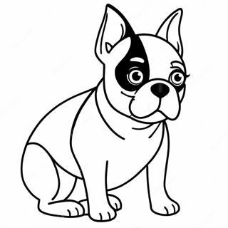 Boston Terrier Kleurplaat 16422-13839