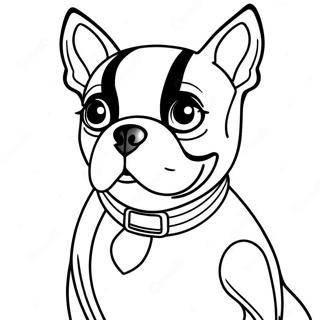 Boston Terrier Kleurplaat 16422-13840