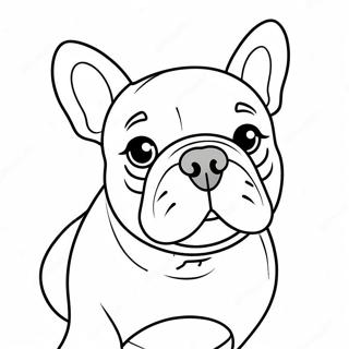 Franse Bulldog Kleurplaat 1661-1326