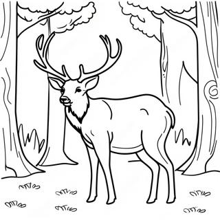 Majestueuze Elk In Het Bos Kleurplaat 18566-15548