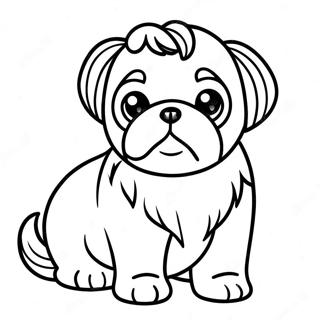 Shih Tzu Puppy Kleurplaat 19318-16142