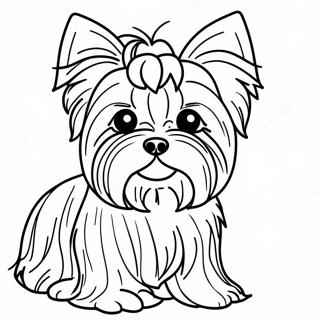 Fluffy Realistische Yorkie Kleurplaat 21483-19797