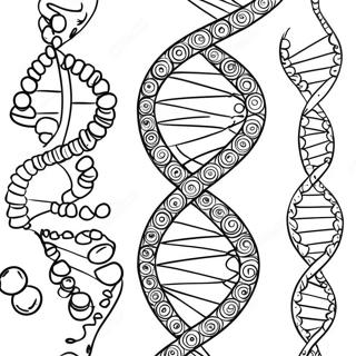 Dna Dubbele Helix Kleurplaat 26186-24019