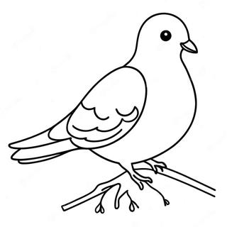 Dove Kleurplaat 32561-16928