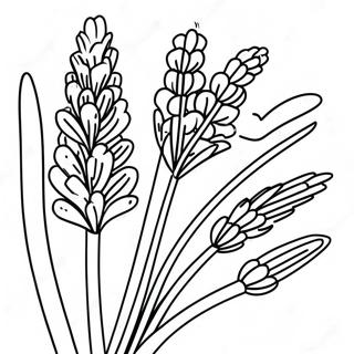 Lavendel Kleurplaten