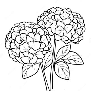 Mooie Hortensia Boeket Kleurplaat 36184-30181