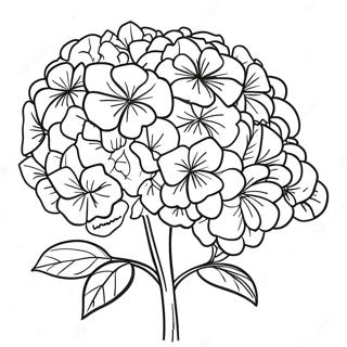 Mooie Hortensia Boeket Kleurplaat 36184-30183