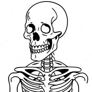 Anatomie En Fysiologie Werkbladen Kleurplaten