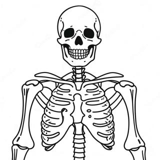 Menselijk Skelet Anatomie Kleurplaat 37506-31219