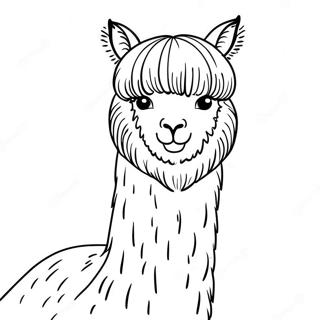 Alpaca Kleurplaat 37585-31283