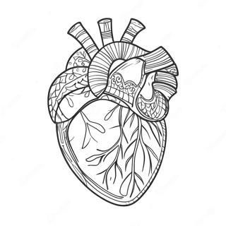 Gedetailleerde Hart Anatomie Kleurplaat 3951-3198