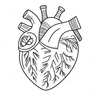 Gedetailleerde Hart Anatomie Kleurplaat 3951-3200