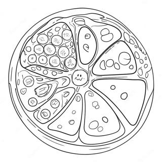 Kleurplaat Van Een Dierlijke Cel Diagram 40618-33662