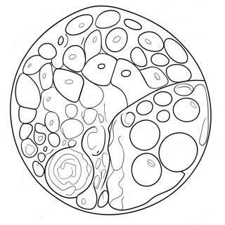 Kleurplaat Van Een Dierlijke Cel Diagram 40618-33663