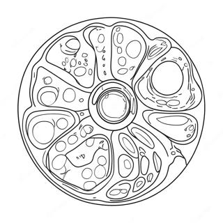 Kleurplaat Van Een Dierlijke Cel Diagram 40618-33664