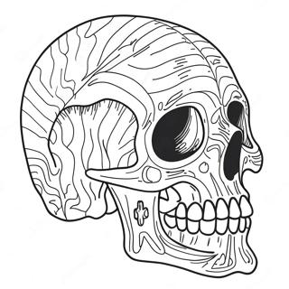 Schedelanatomie Kleurplaten