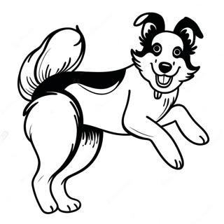 Speelse Border Collie Kleurplaat 43803-36440