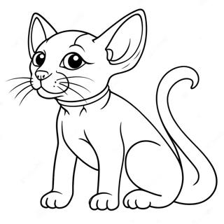 Sphynx Kat Kleurplaat 47383-39432