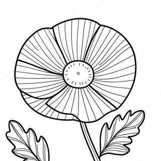 Papaver Kleurplaat 48054-39946