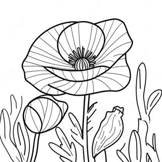 Papaver Kleurplaat 48054-39947