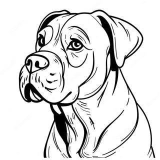 Cane Corso Kleurplaten