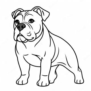 Amerikaanse Bulldog Kleurplaat 62066-51433