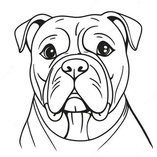 Amerikaanse Bulldog Kleurplaat 62066-51434