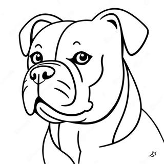 Amerikaanse Bulldog Kleurplaat 62066-51436