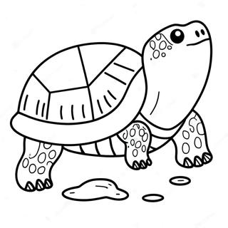 Snapping Turtle Kleurplaat 65830-54373