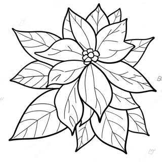 Poinsettia Sjabloon Kleurplaten