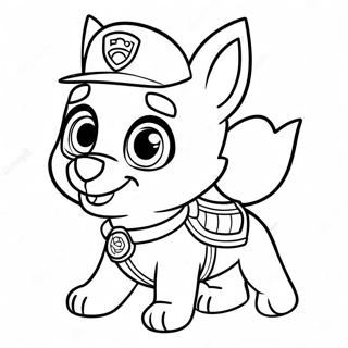 Avontuurlijke Skye Paw Patrol Kleurplaat 69874-57558