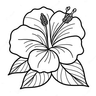 Hibiscus Kleurplaten