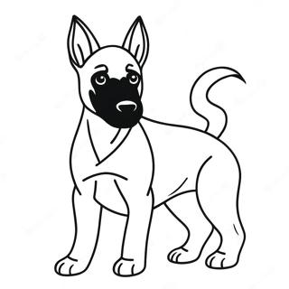 Belgische Malinois Kleurplaten