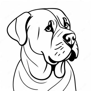 Engelse Mastiff Kleurplaten