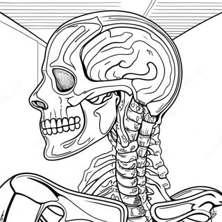 Anatomie Kleurplaten