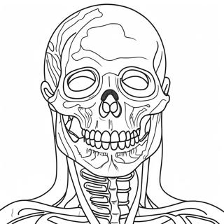 Anatomie Kleurplaat 981-784